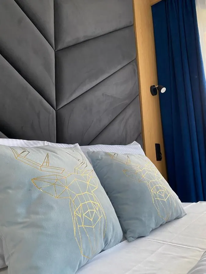 Apartament Modrzejewska Residence ザコパネ 0*,